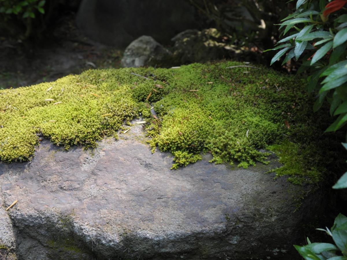 Historical Ryokan Senyukan Owani Exterior foto