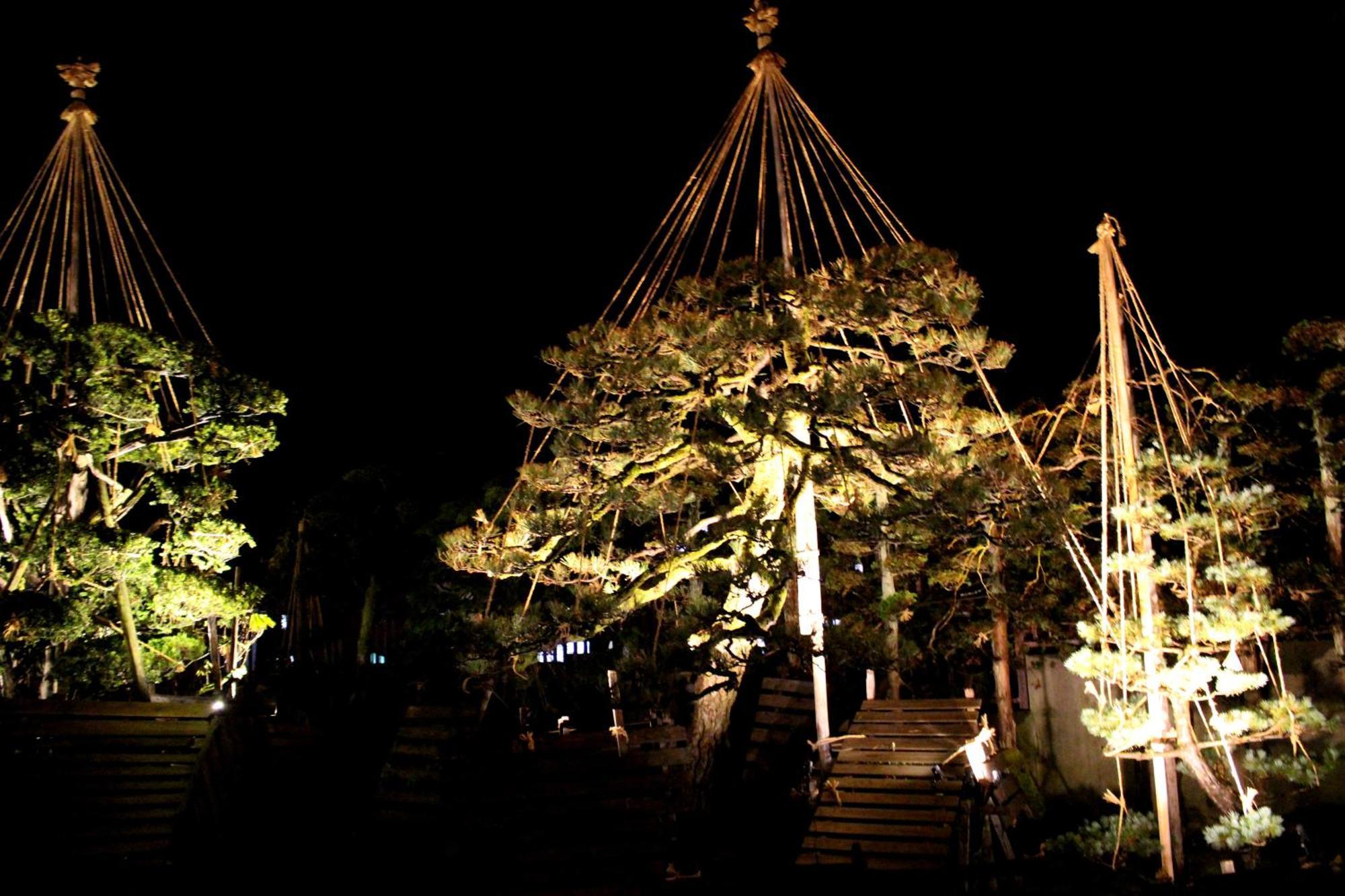 Historical Ryokan Senyukan Owani Exterior foto